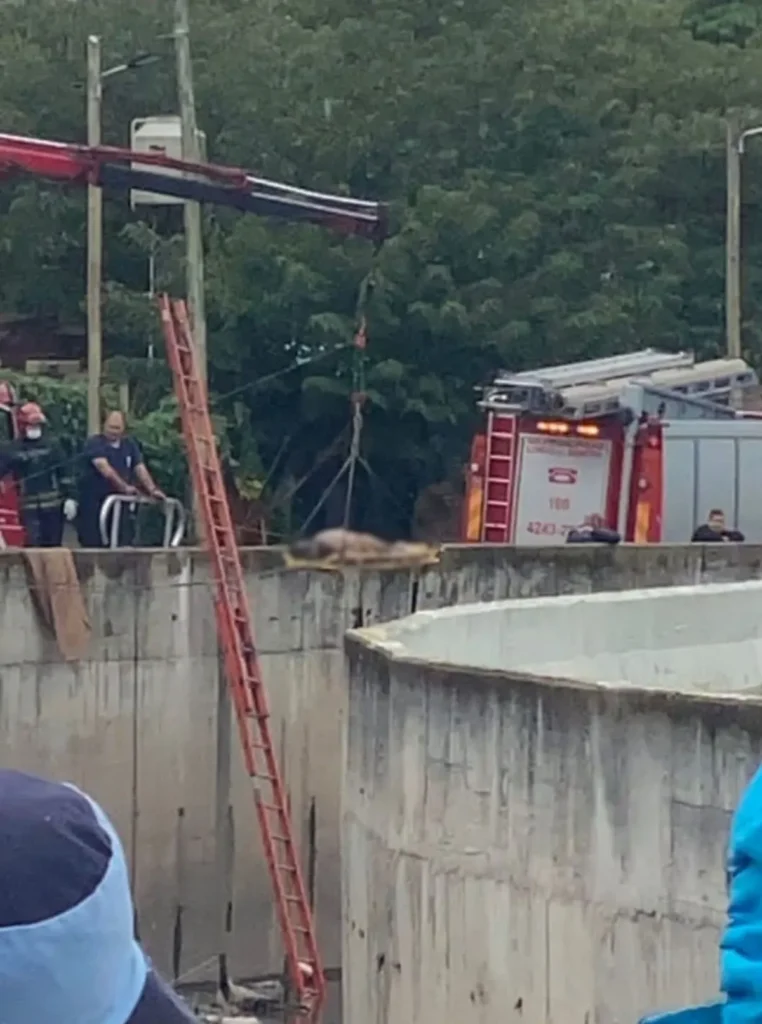 cuerpo arroyo del rey