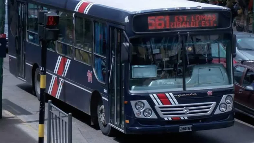 544 Y 561